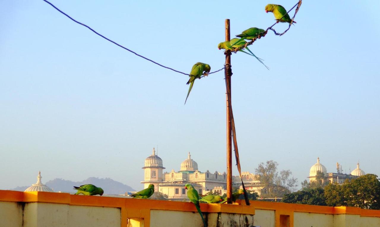 Mohan Villa Guest House Udaipur Luaran gambar