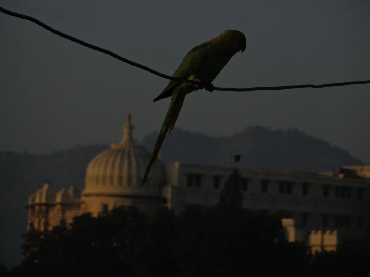 Mohan Villa Guest House Udaipur Luaran gambar